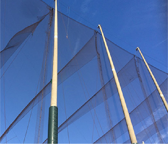 防球タワーのイメージ写真